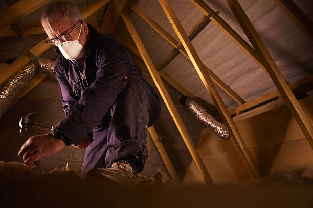 Best Insulation Installation Services in Remsen, IA